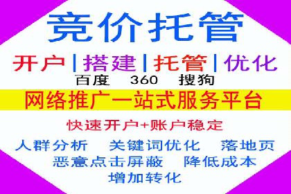SEM服务公司助力品牌崛起案例