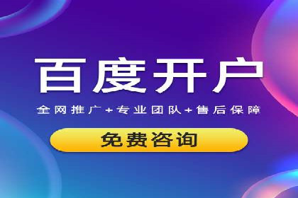 行业领先企业的网络推广与竞价经验
